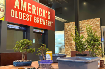 Bonsai & Brews at Yuengling Draft Haus