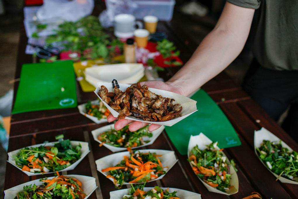 Forage and Cook - Forage and Cook