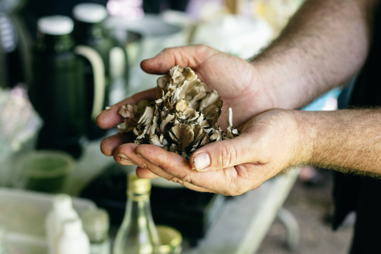 Forage and Cook - Forage and Cook