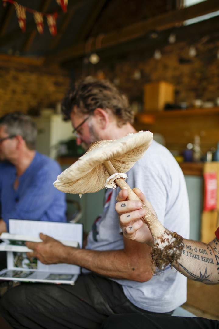 Forage and Cook - Forage and Cook