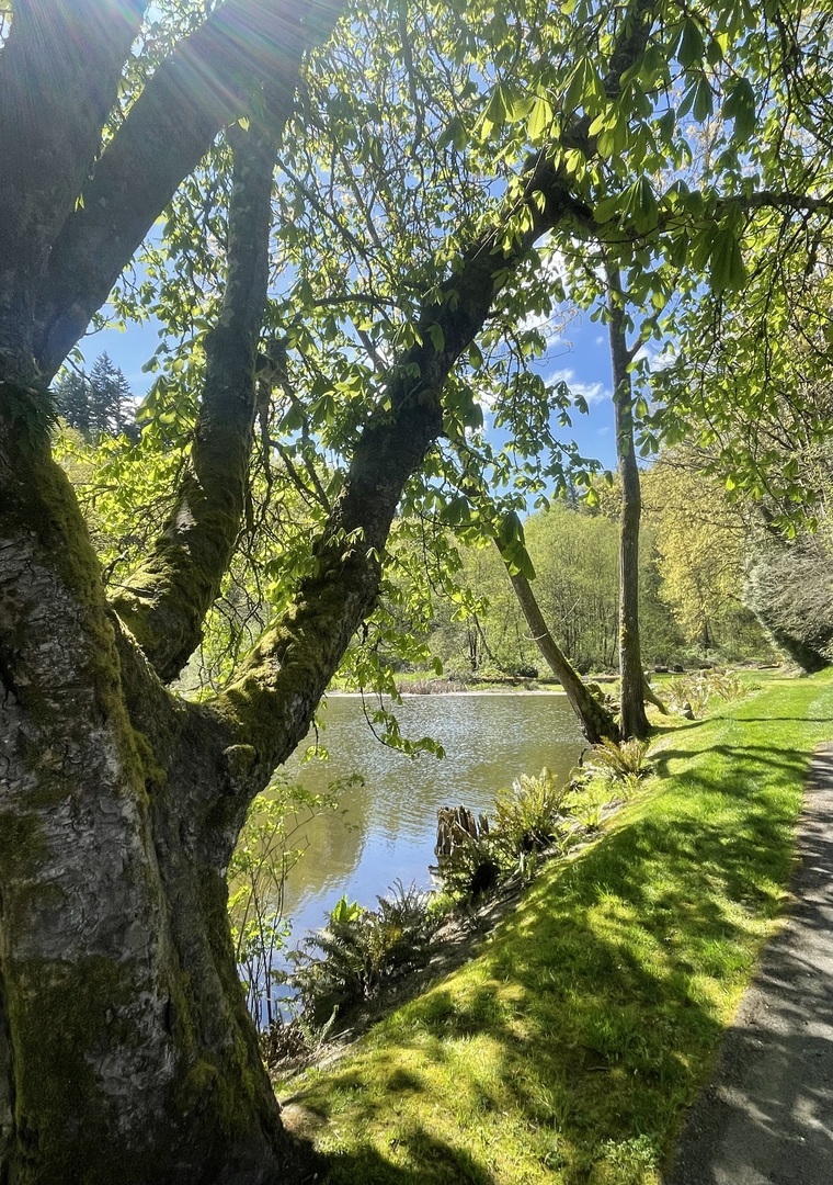 Fantasy Faerie Faire and Starfall Ball August 30 at the stunning Sanders Estate - Fantasy Faerie Faire and Starfall Ball August 30 at the stunning Sanders Estate