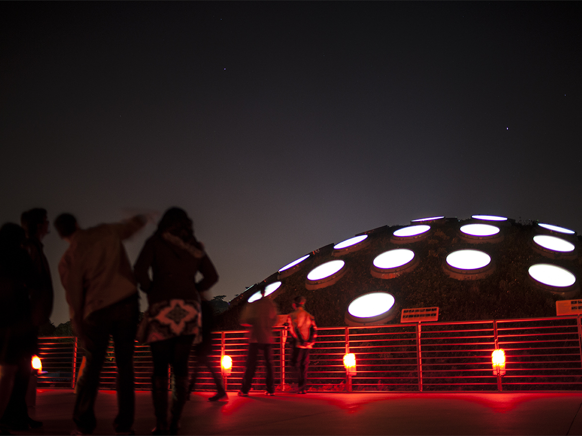 California Academy of Sciences: NightLife Remix Track 3 - California Academy of Sciences: NightLife Remix Track 3