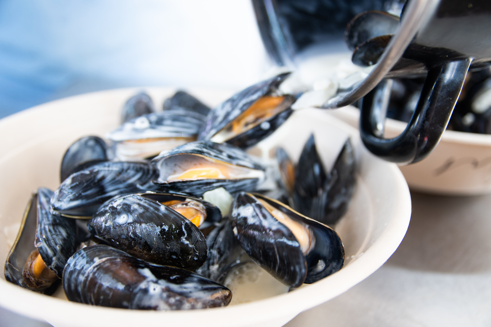 Dorset Seafood Festival - Dorset Seafood Festival