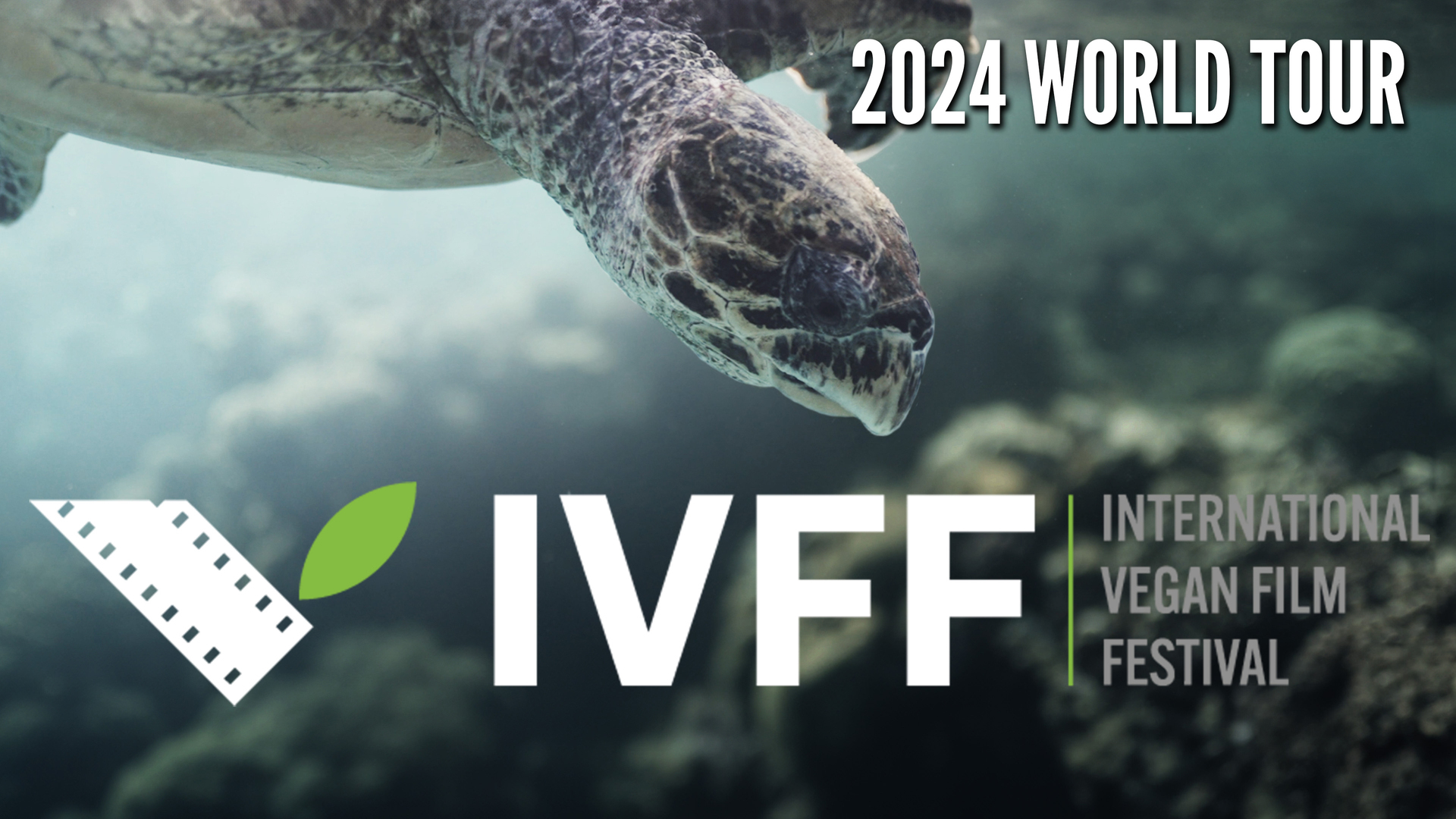 International Vegan Film Fest at the Sonoma County VegFest
