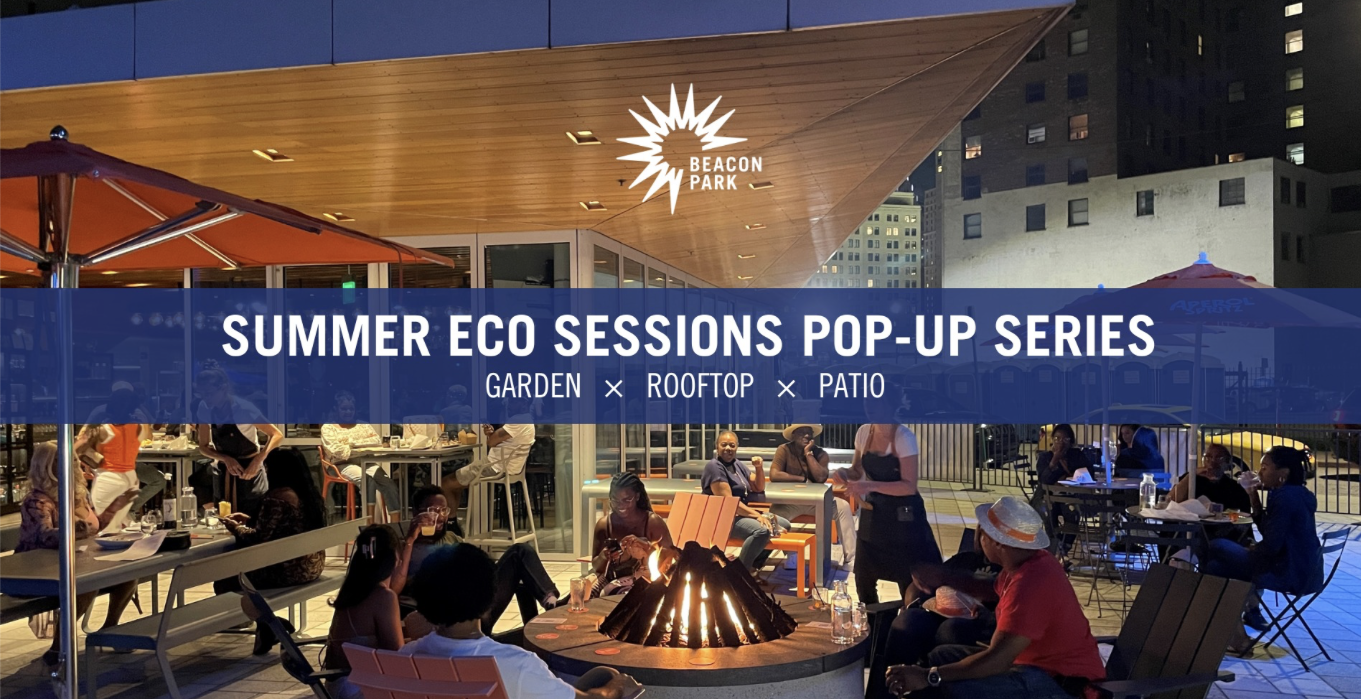 Summer Eco Sessions Pop-Up Series - Summer Eco Sessions Pop-Up Series