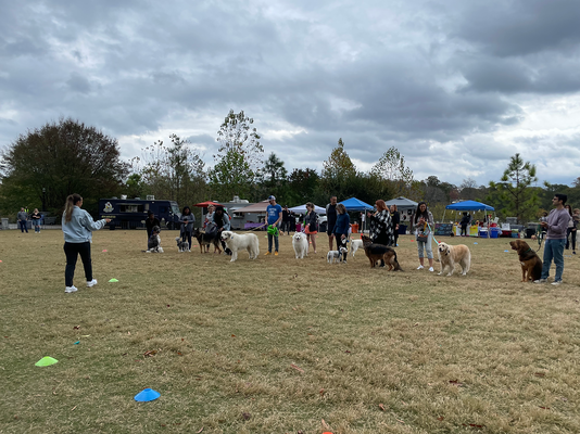 The Great Atlanta Dog Show  - Atlanta Social Guide Events