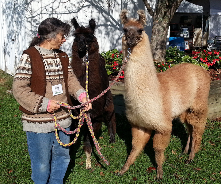 36th Annual Vermont Sheep & Wool Festival Tunbridge, VT