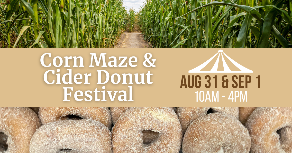 Corn Maze and Cider Donut Festival at Lyman Orchards