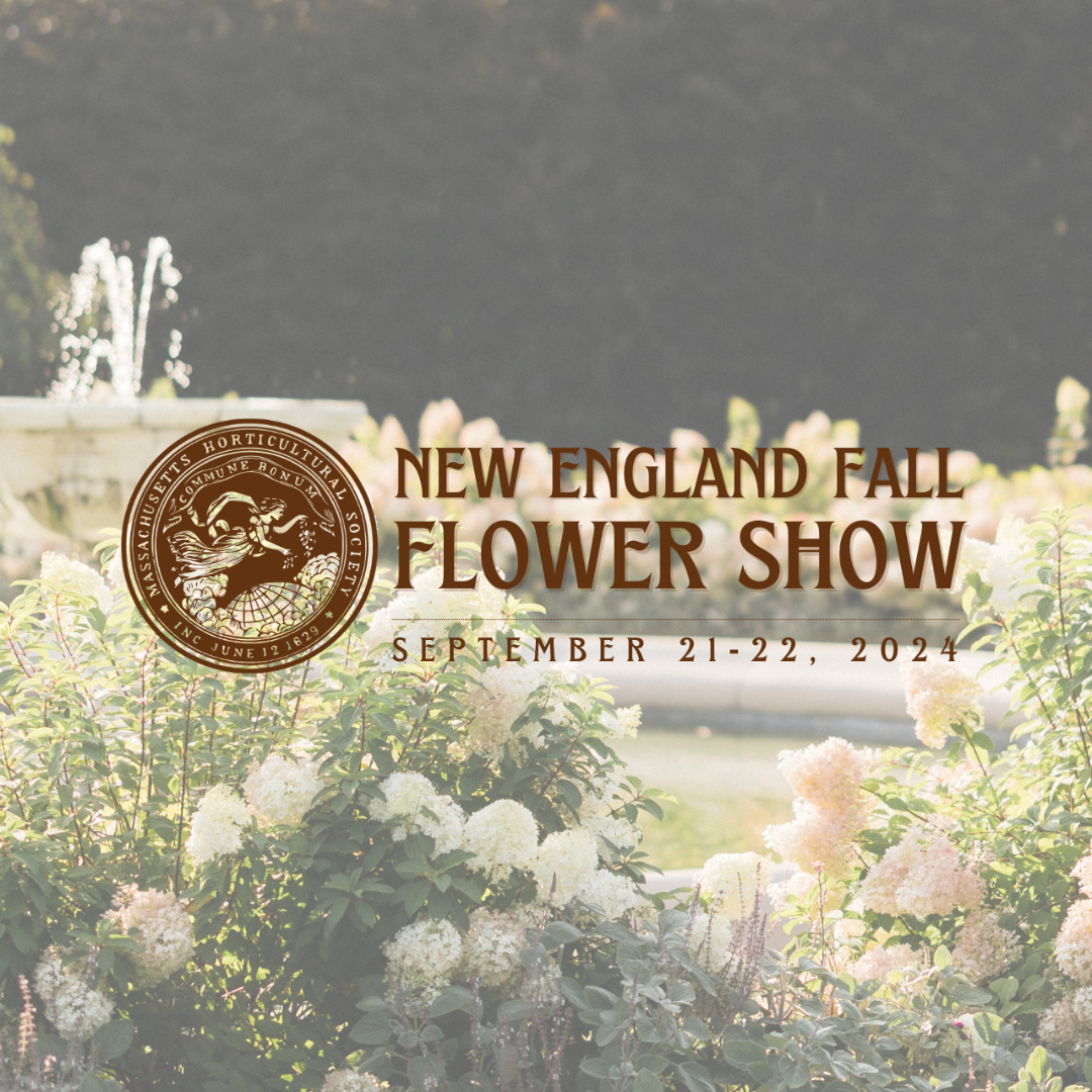 New England Fall Flower Show - New England Fall Flower Show