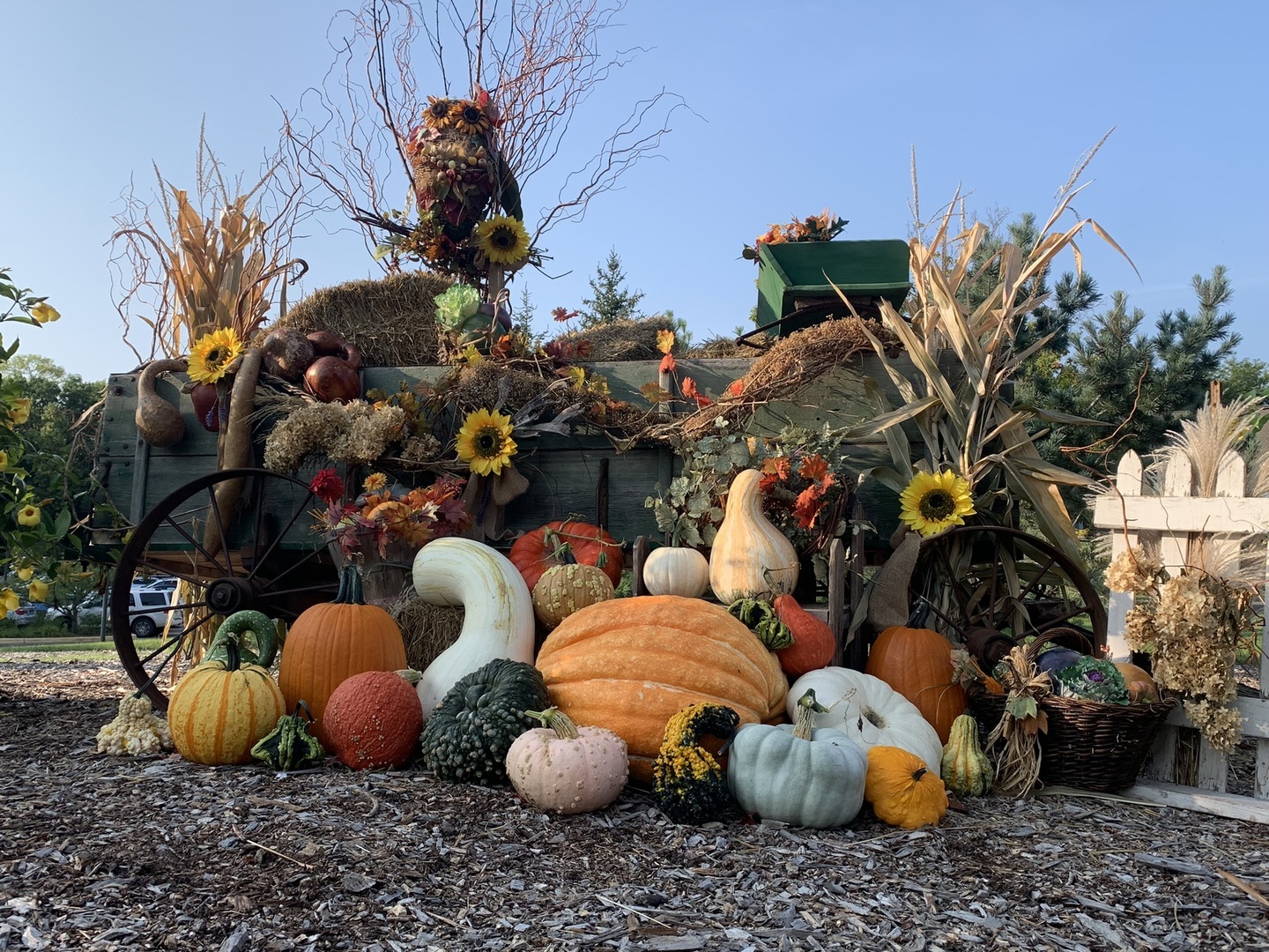 Scarecrows in the Garden