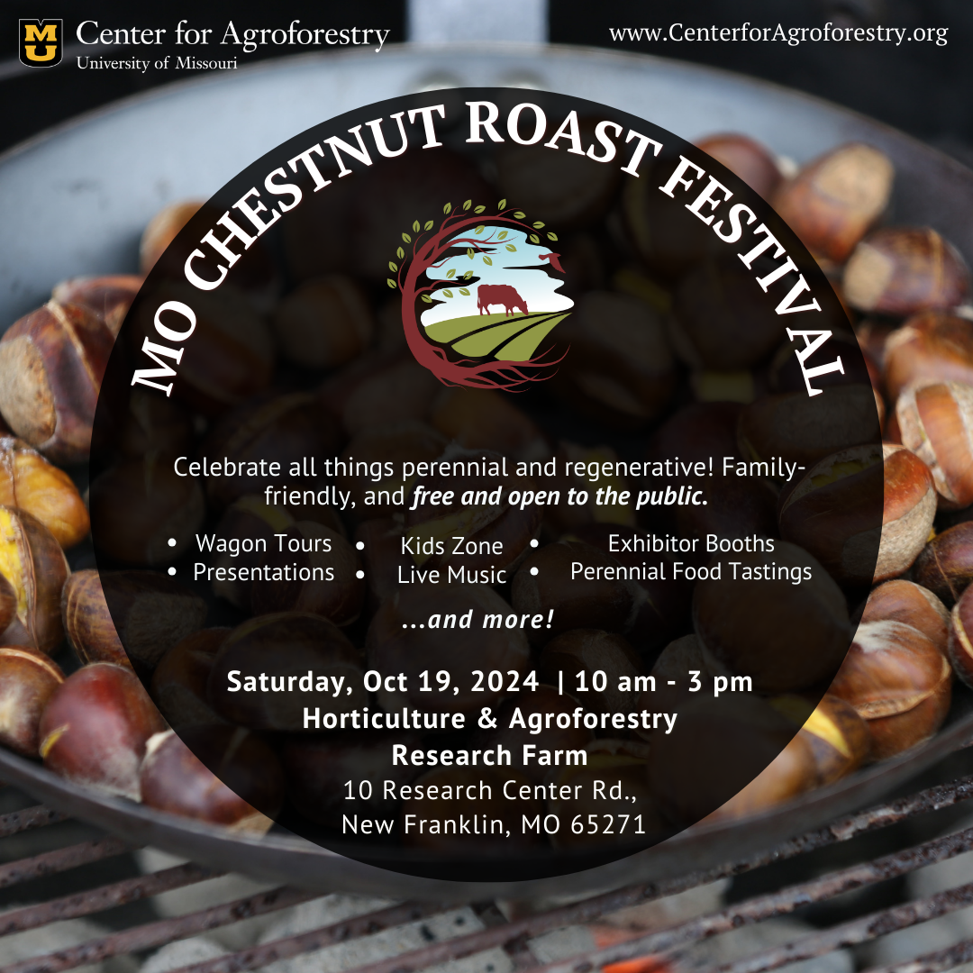 Missouri Chestnut Roast Festival