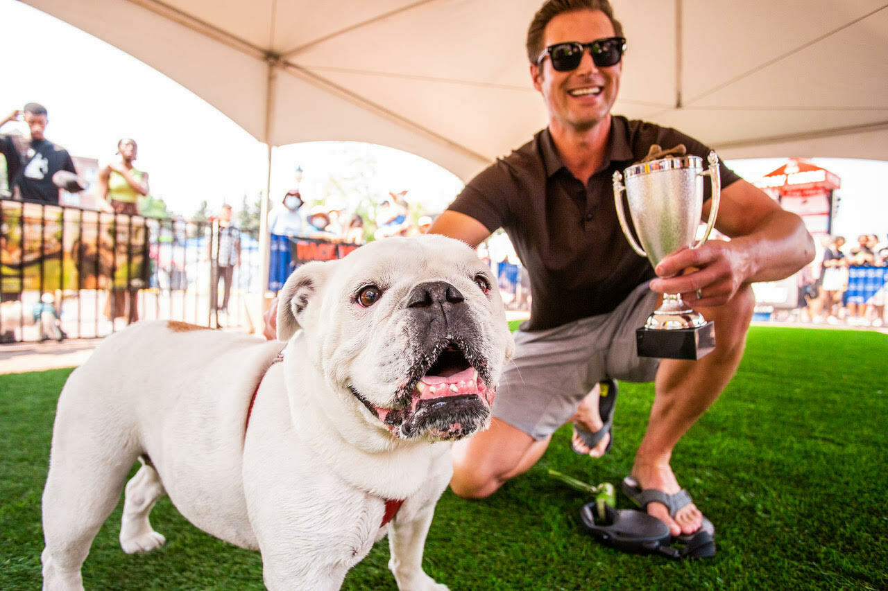 The Day of the Dog Festival - The Day of the Dog Festival