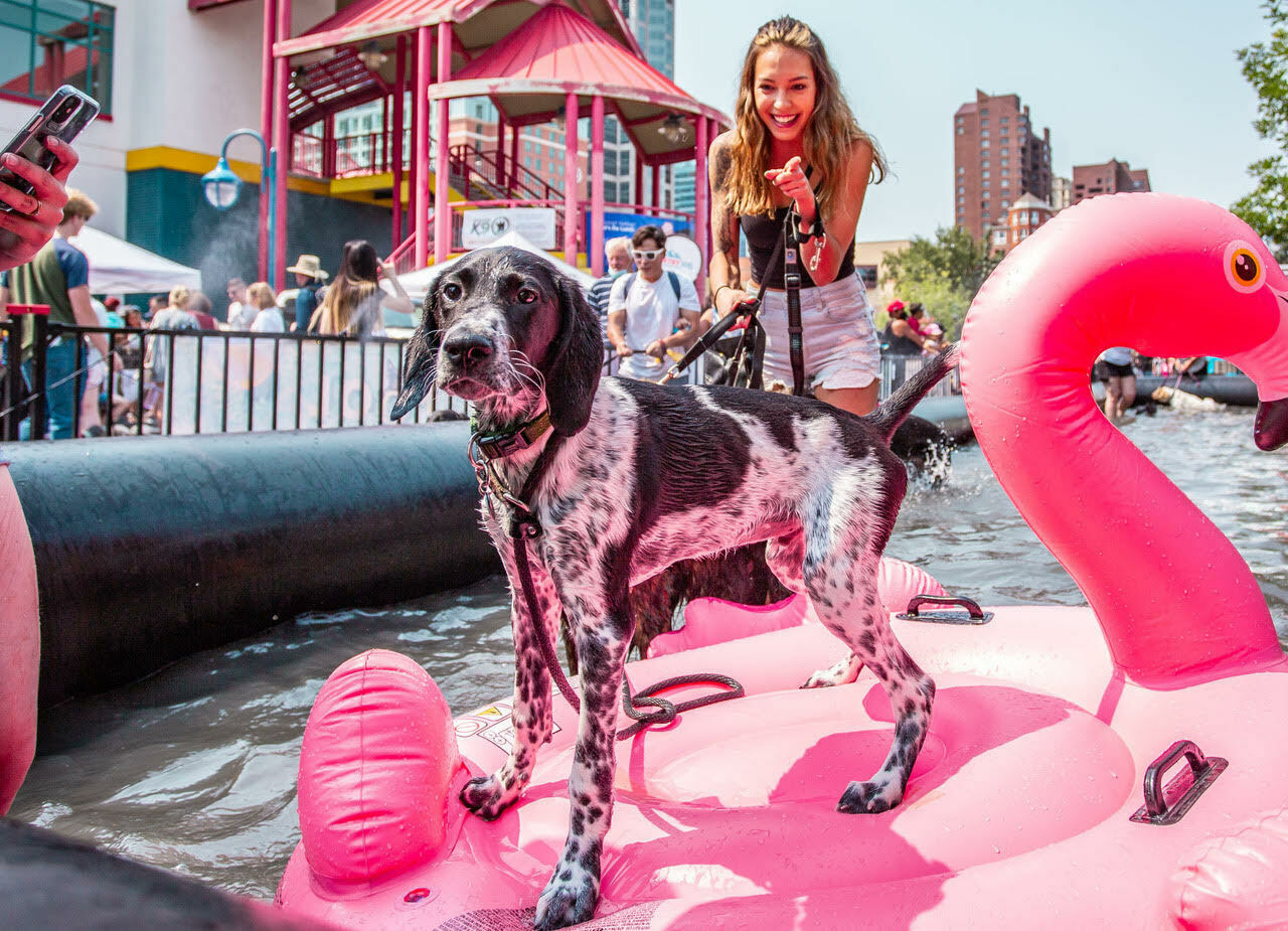 The Day of the Dog Festival - The Day of the Dog Festival