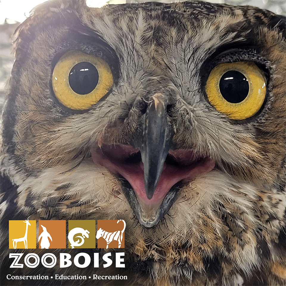 Zoo Boise Spooky Safari (21+)