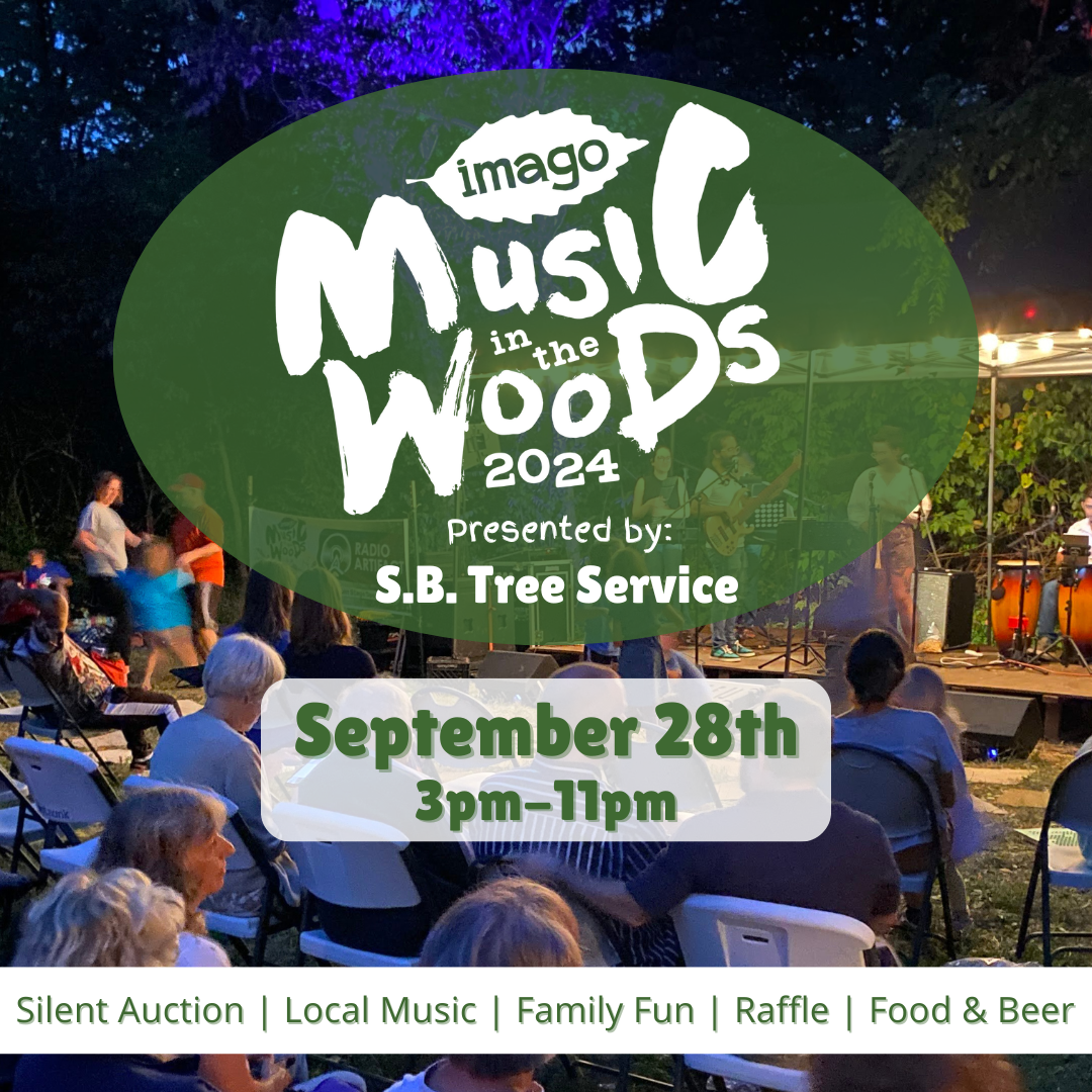 Music in the Woods - Music in the Woods