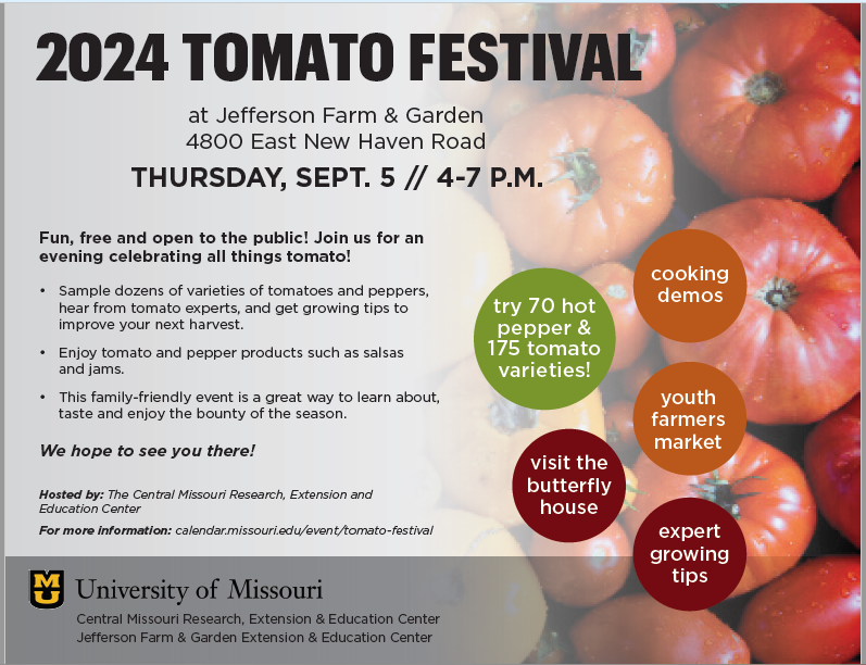 Tomato Festival