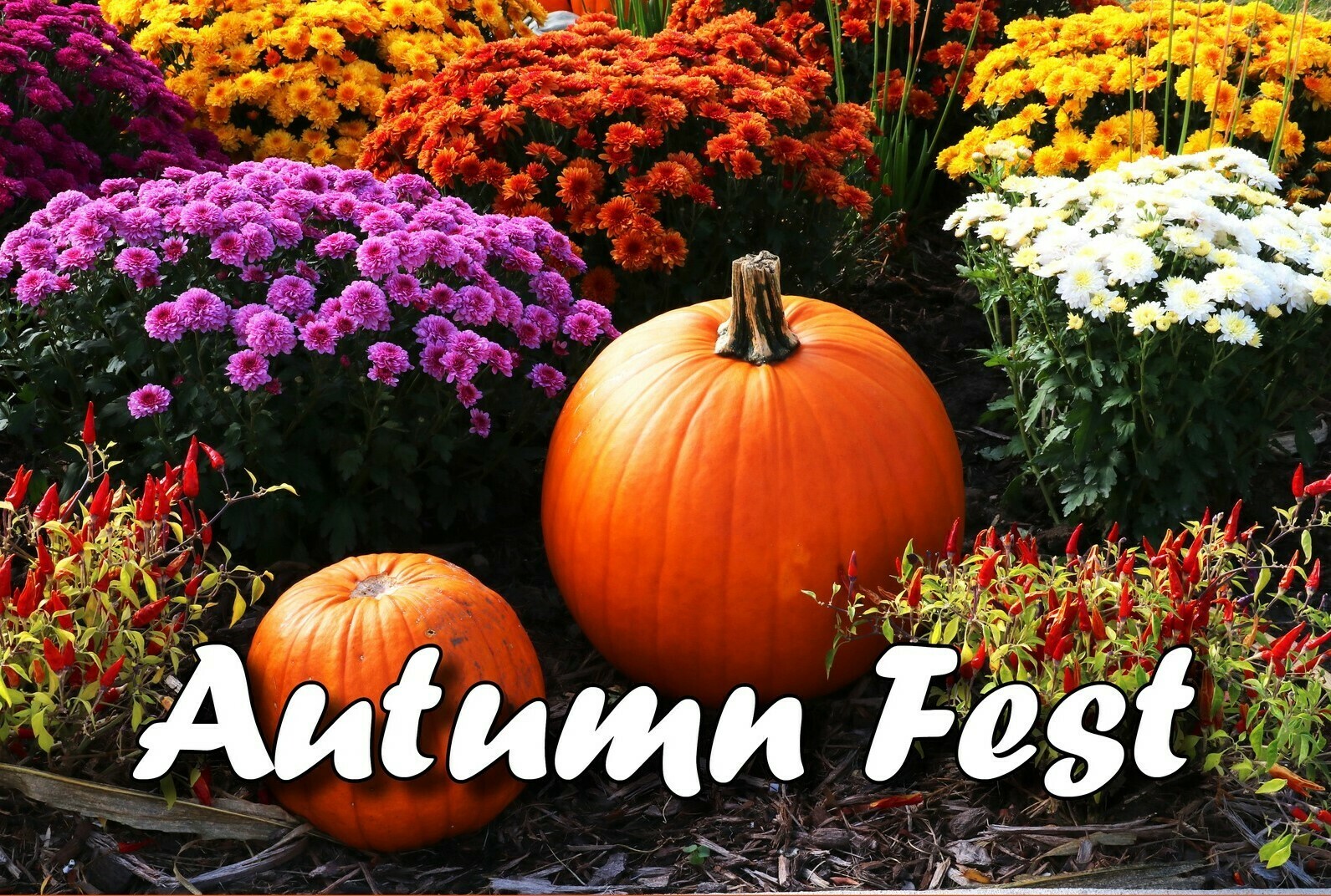 Autumnfest