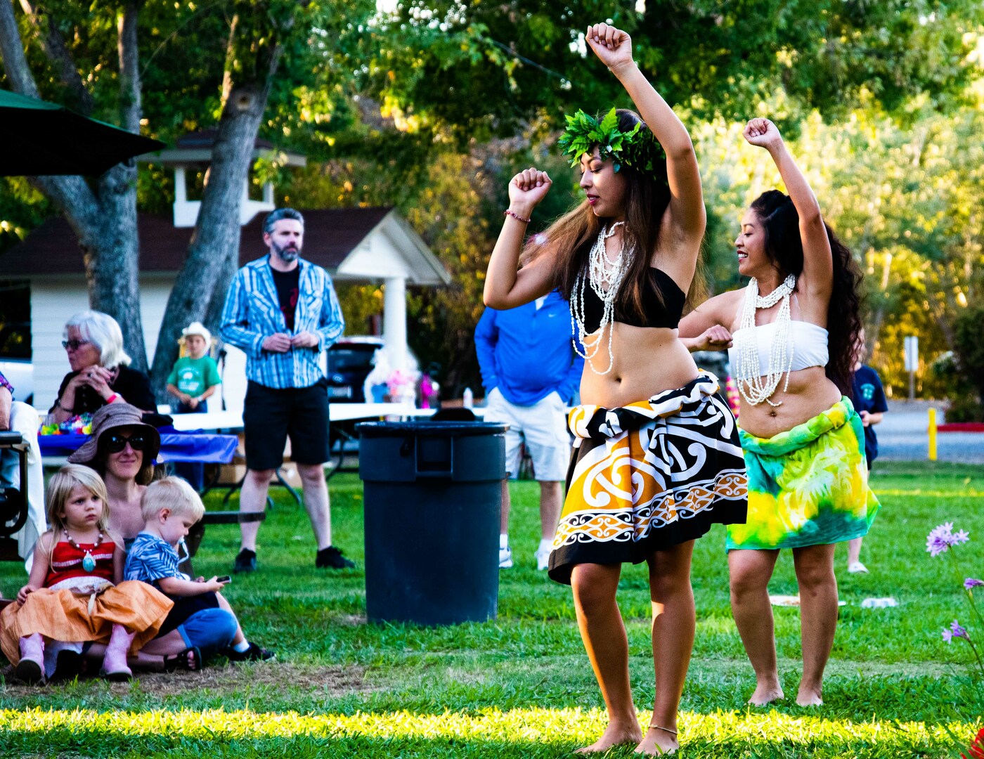 HAWAIIAN LUAU - HAWAIIAN LUAU