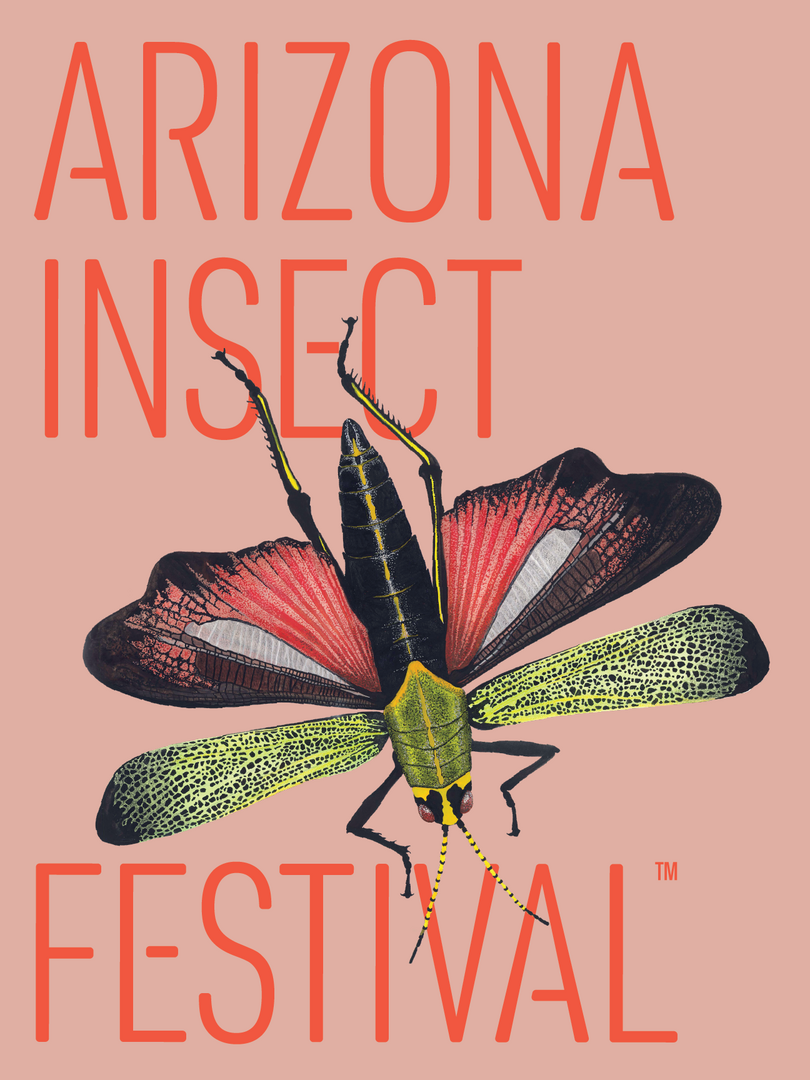 Arizona Insect Festival