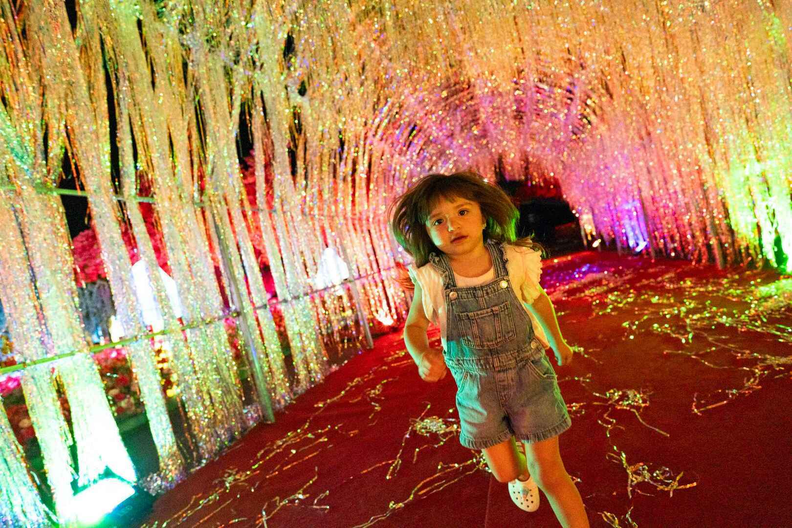 Imaginarium Pleasanton - Imaginarium Pleasanton