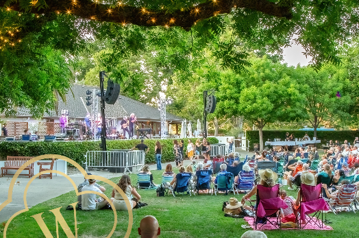 Jazz Festival in the Vineyard