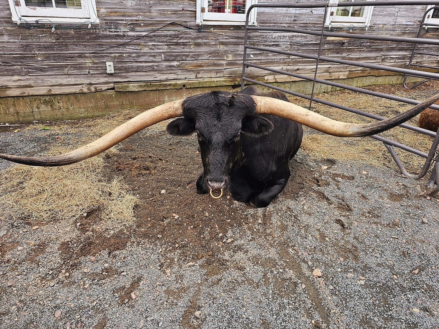 Dutton Days at Big Rock Creek - Dutton Days at Big Rock Creek