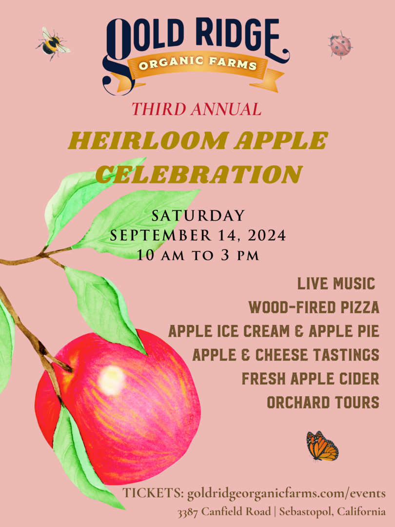 Third Annual Heirloom Apple Celebration