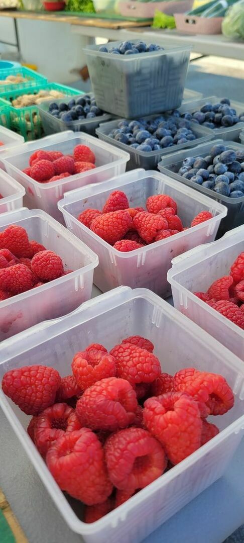 Surfside Farmers Market - Surfside Farmers Market