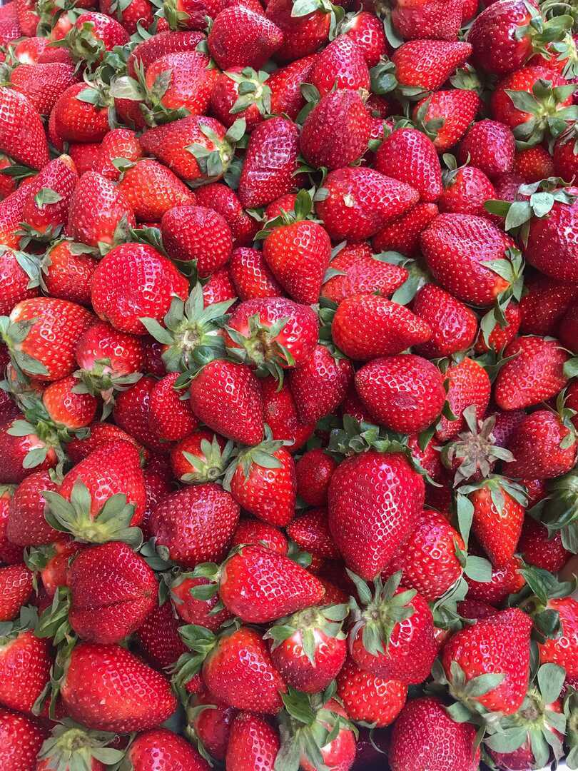 St. John's Farmers Market Naples - St. John's Farmers Market Naples