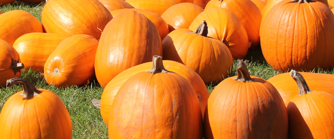 Fall Fun Saturday