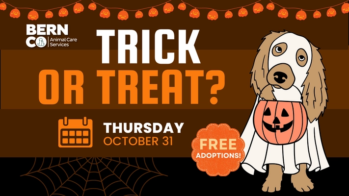 The Albuquerque Journal Events - Trick or Treating at Bernalillo 