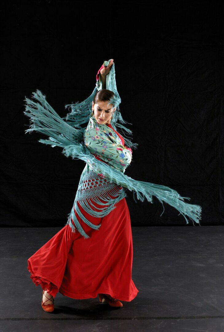 One Night of Flamenco