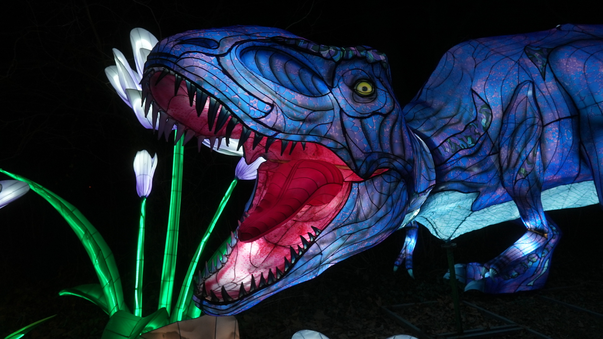 Asian Lantern Festival