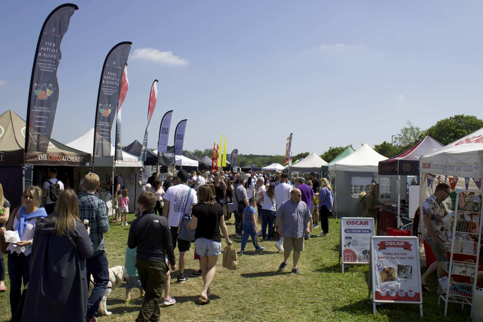Christchurch Cheese & Chilli Festival - Christchurch Cheese & Chilli Festival