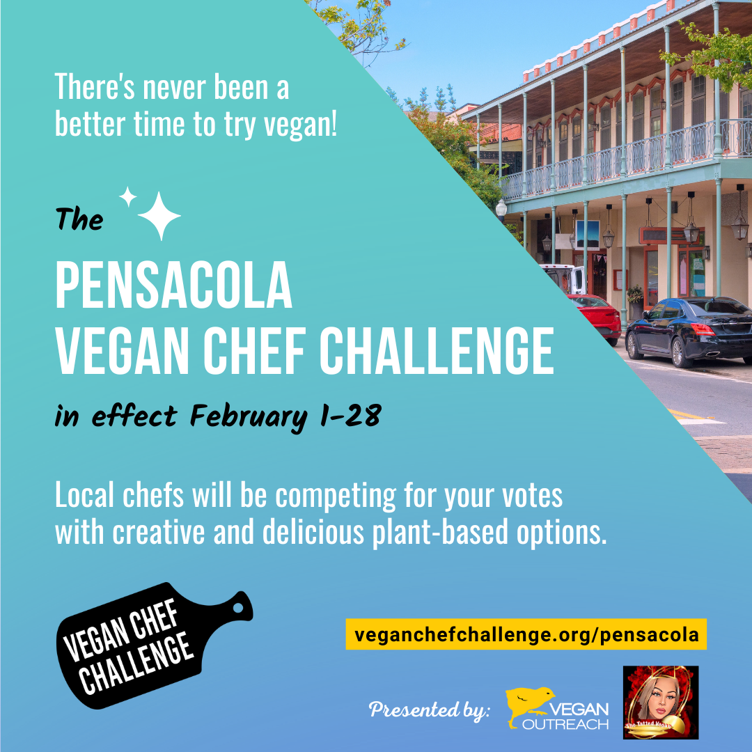 Pensacola Vegan Chef Challenge