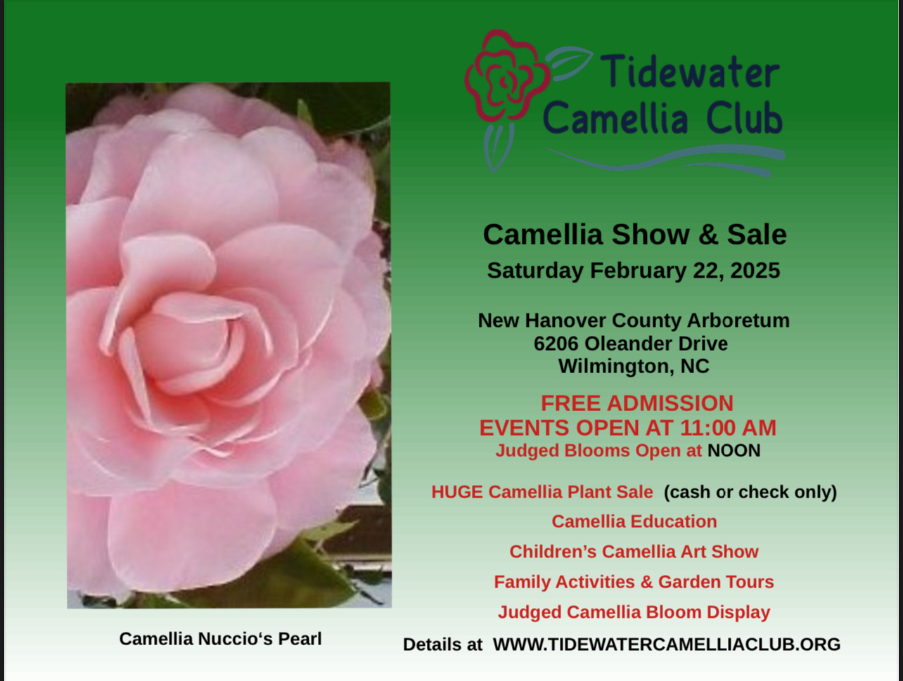 Camellia Show and Sale