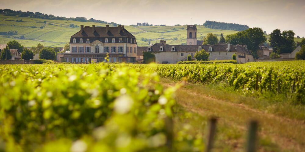 Finding Value in French Wine