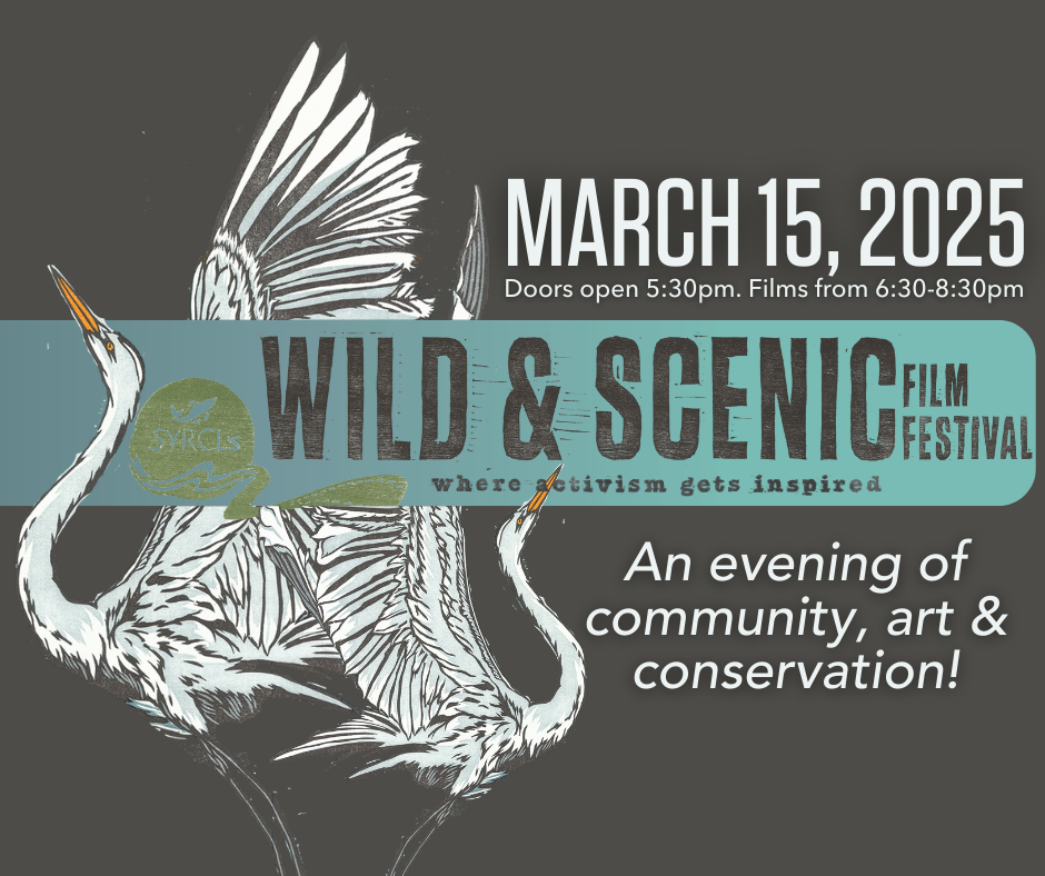 13th Annual Wild & Scenic Film Festival
