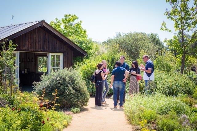 Spring Farm Festa | Biodynamic Wine Party - Spring Farm Festa | Biodynamic Wine Party