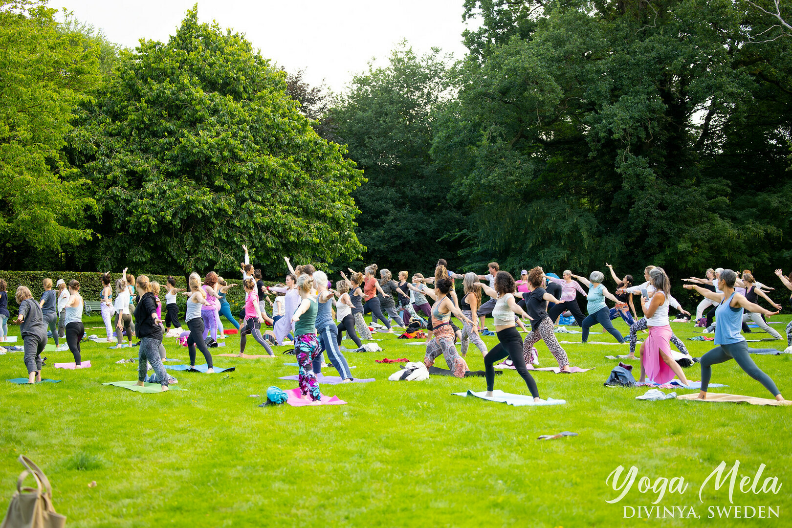 Yoga Mela - International Yoga & Sacred Music Festival - Yoga Mela - International Yoga & Sacred Music Festival