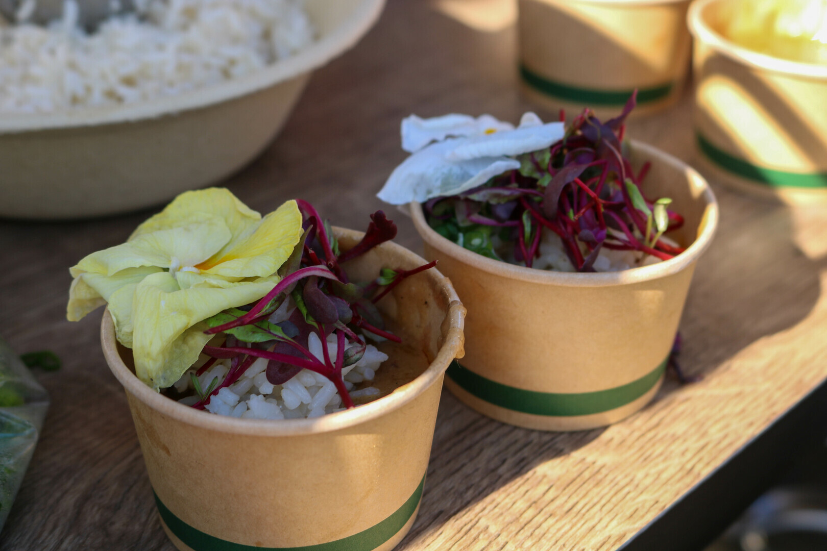 Hey, Auntie! Gumbo Cooking Contest 2025 - Hey, Auntie! Gumbo Cooking Contest 2025