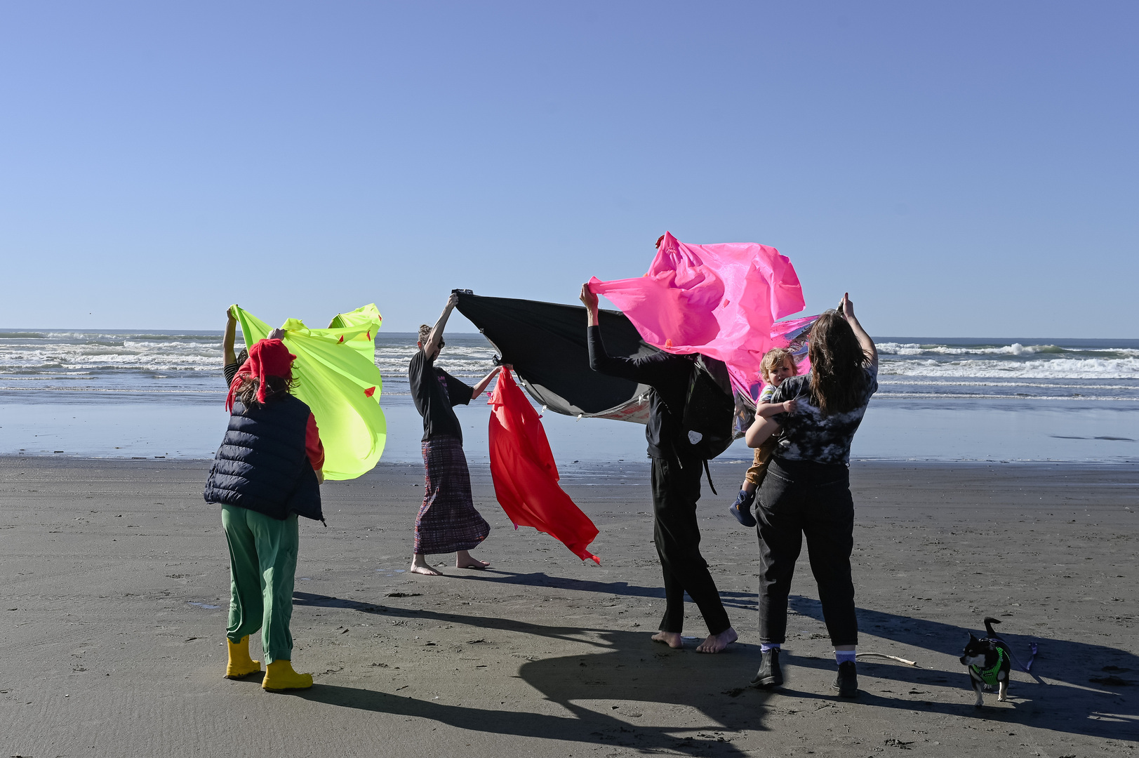 Sou'wester Arts Week (Public Portion) - Sou'wester Arts Week (Public Portion)
