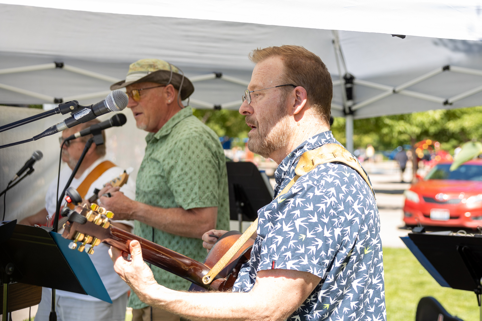 2nd Annual Meridian Fine Art Festival - 2nd Annual Meridian Fine Art Festival