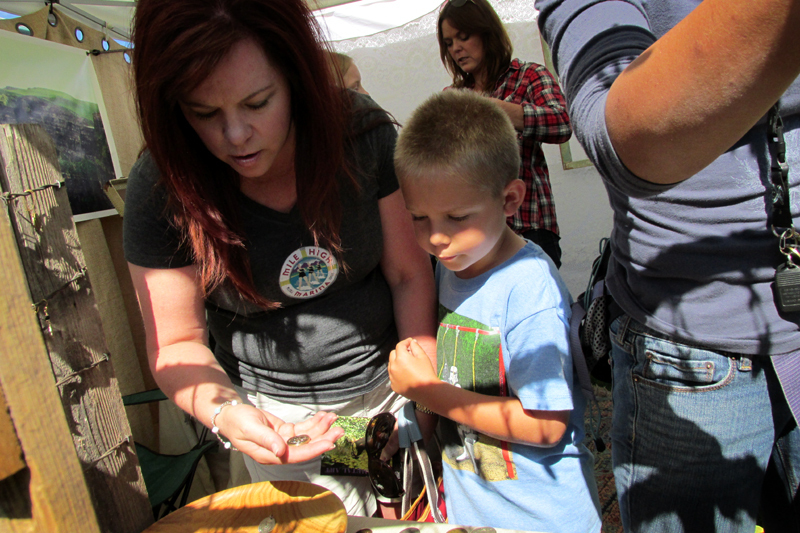 35th Annual Payette Lakes Fine Art & Craft Fair - 35th Annual Payette Lakes Fine Art & Craft Fair