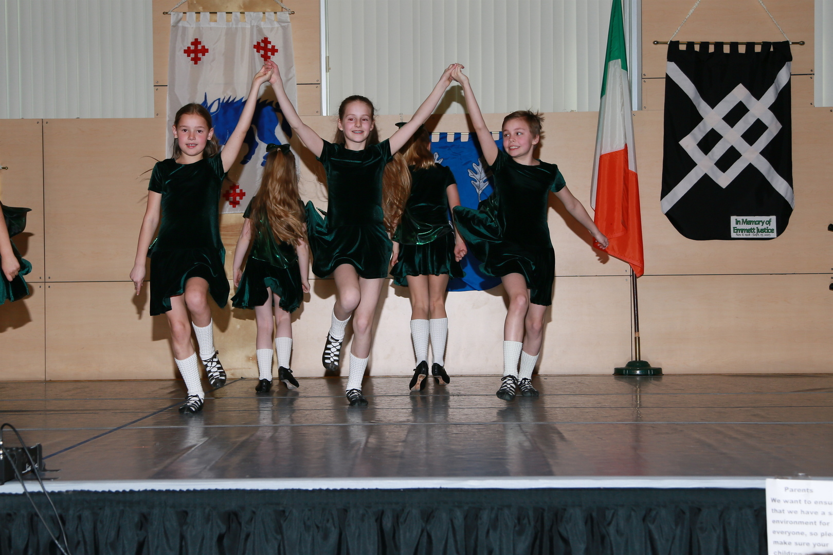 84th Annual Saint Patrick's Day Celebration - 84th Annual Saint Patrick's Day Celebration