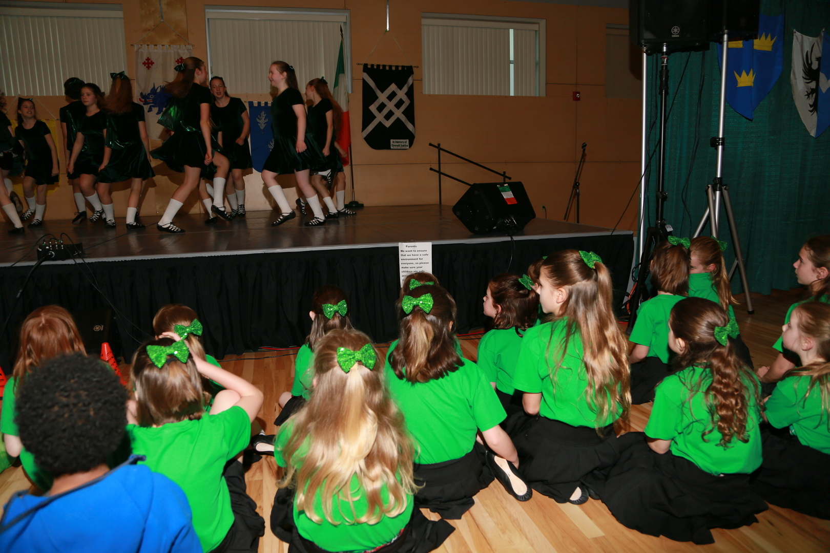 84th Annual Saint Patrick's Day Celebration - 84th Annual Saint Patrick's Day Celebration