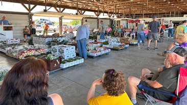 Chesterhill Produce Auction