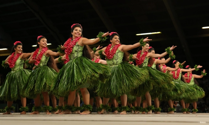 hero_merriemonarch.webp