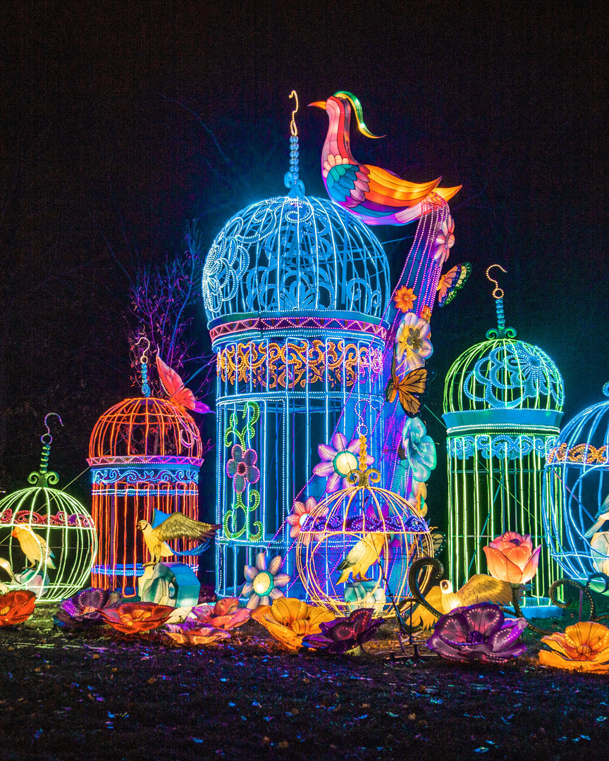 SeaLight Festival Chattanooga