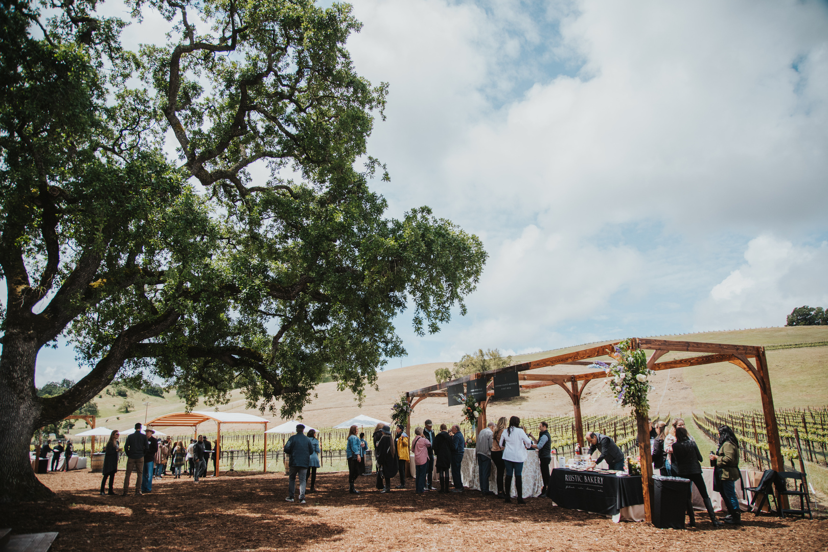 Destination Durell - Destination Durell